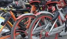 安阳自行车爆料视频最新,揭秘城市交通新现象